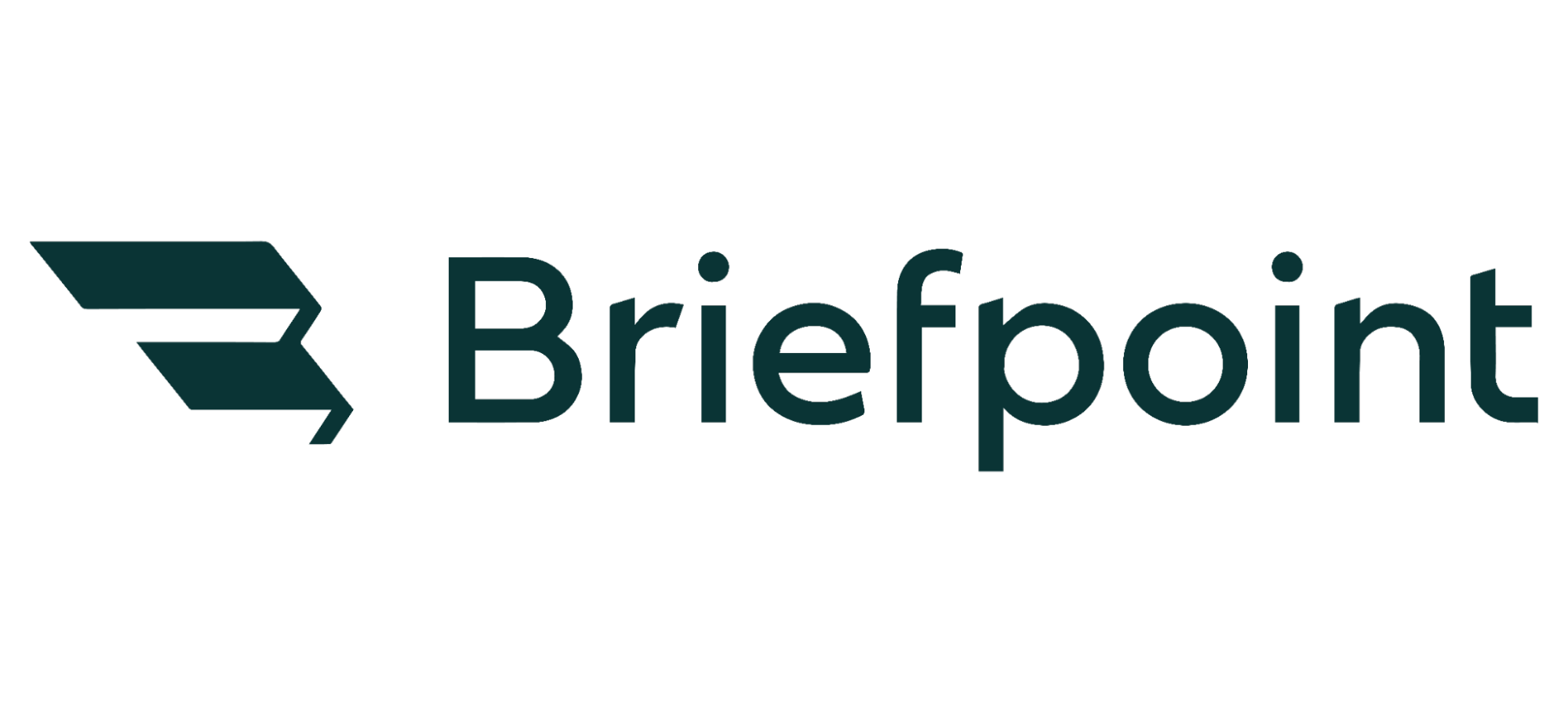 Briefpoint